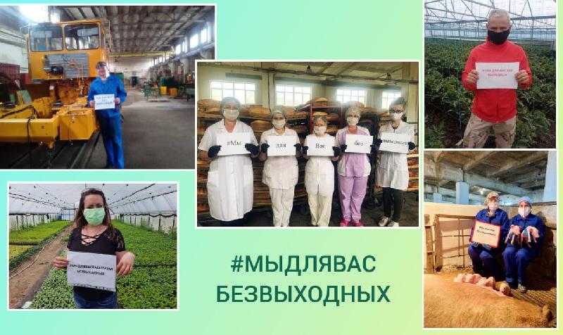 Курганинские аграрии присоединились к всероссийскому флешмобу «Мы для вас без выходных»