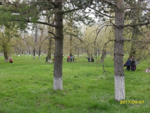 В Октябрьском сельском поселении будет реконструирован старый парк