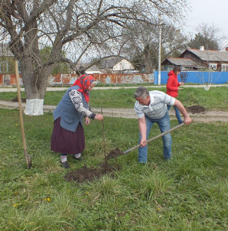 Акция «Сад памяти» прошла в посёлке Лучезарный Михайловского сельского поселения