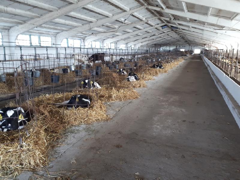 О подготовке животноводческих ферм на период зимовки 2021-2022 годов в предприятиях муниципального образования Курганинский район